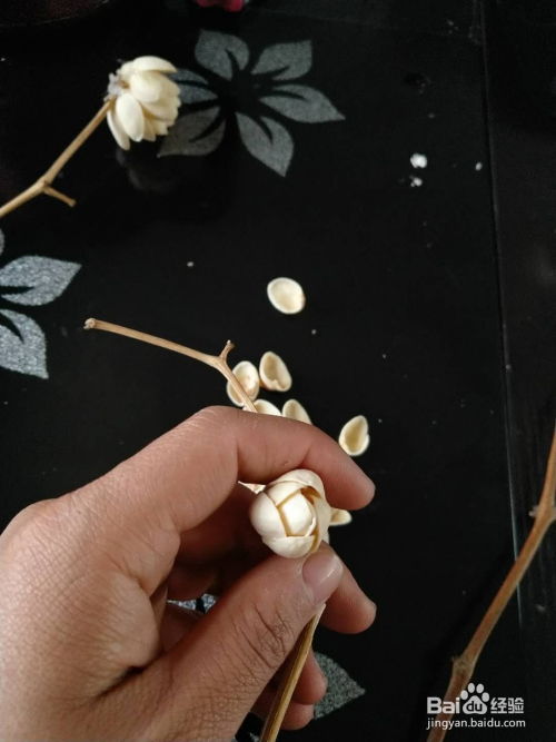 如何用开心果壳制作手工花工艺品