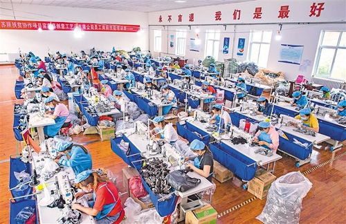 苏陕协作 决战决胜脱贫攻坚